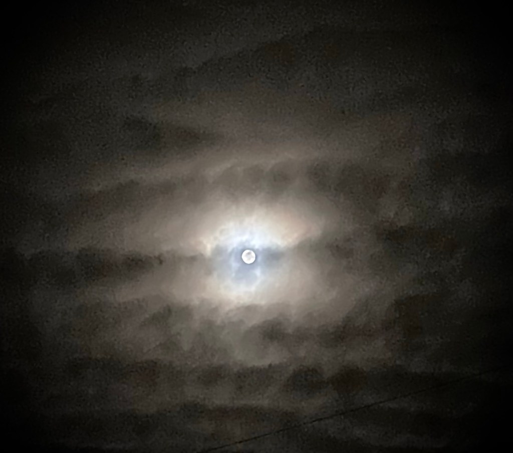 It’s All Right to Be&nbsp;Wrong