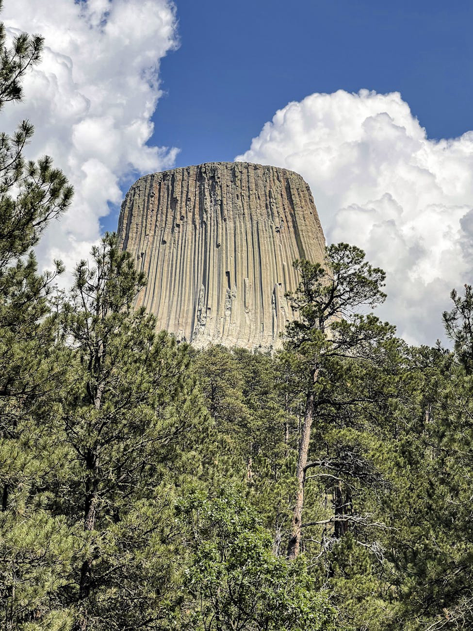 Fear of Healthcare in&nbsp;America