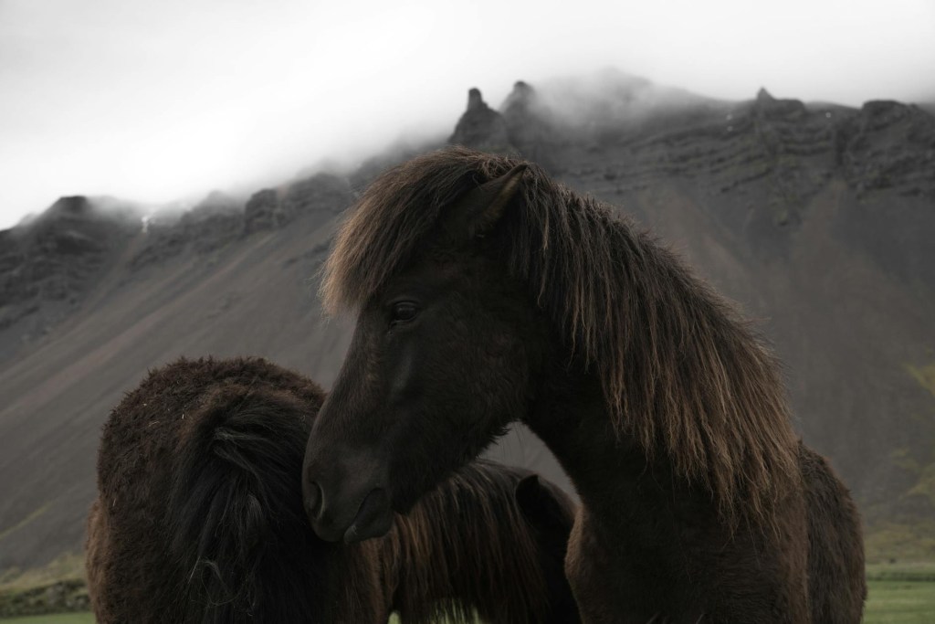 Savior-or-scoundrel-rags-riches-1-Ragtown