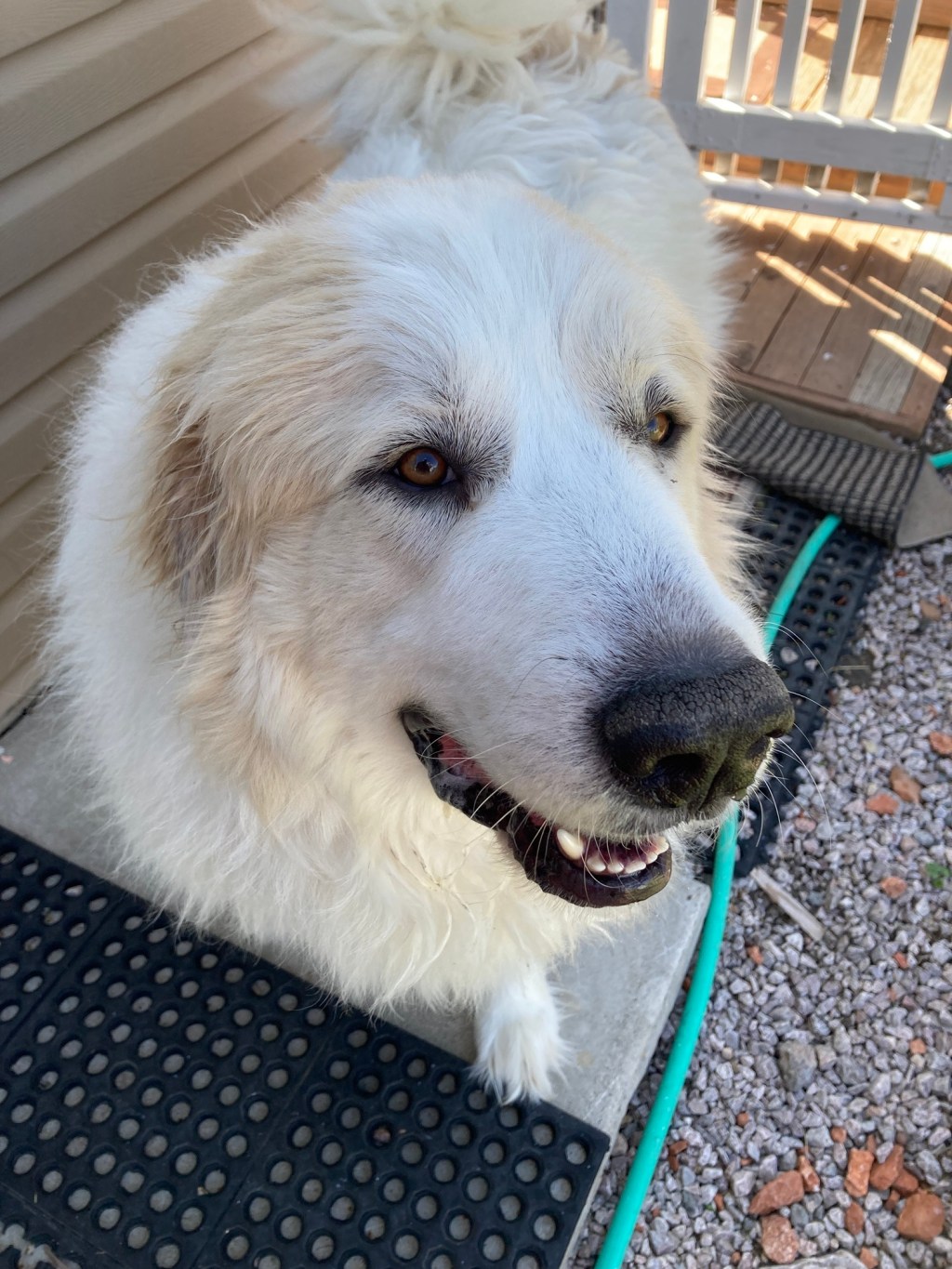 Living One Day at a&nbsp;Time