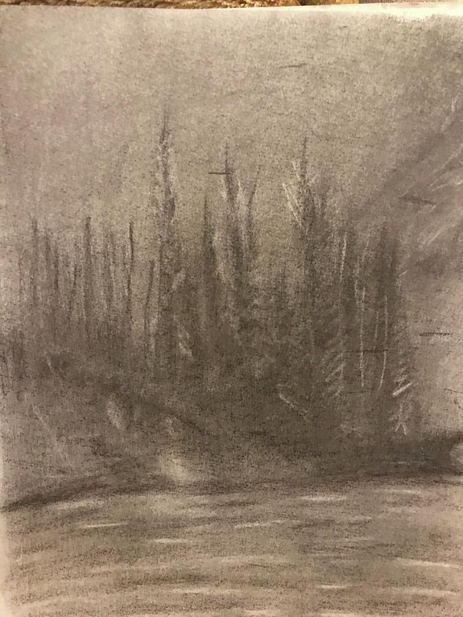 sketch-stags-yellowstone